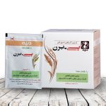 ساشه پی برن طعم نعنا دینه