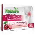 آبنبات سرد مکیدنی آلبالو و اکالیپتوس گلودرد ناتسور - تصویر 2