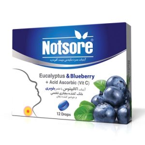 آبنبات سرد مکیدنی اکالیپتوس بلوبری ناتسور