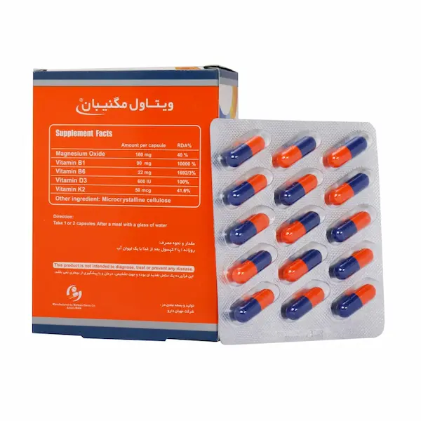 قرص مگنیبان