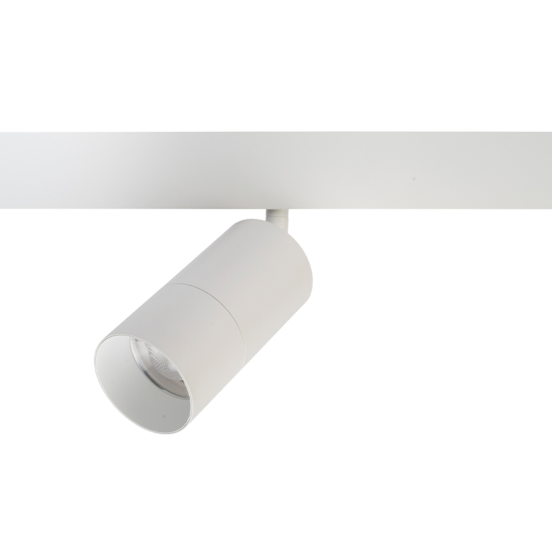 T242-2-resize.jpg