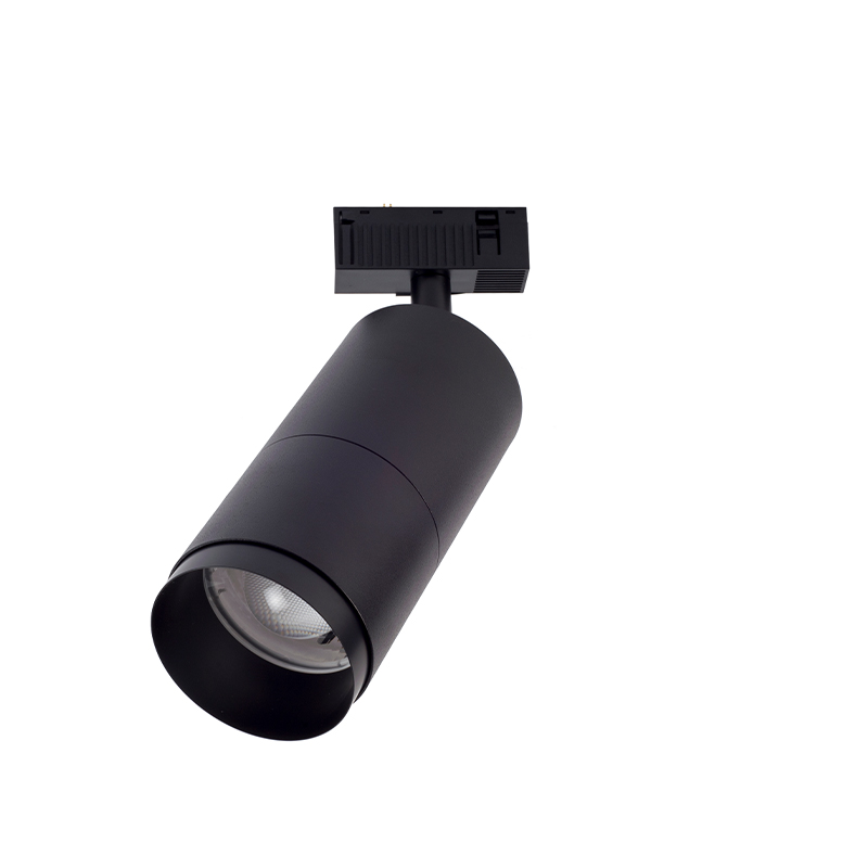 T243-1-resize.jpg