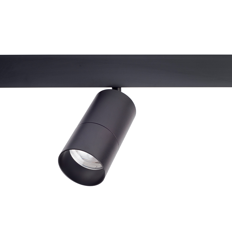 T243-resize.jpg