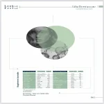 قرص جوانسازی لیلیا درماکر