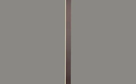 C79-1_1_11zon.webp